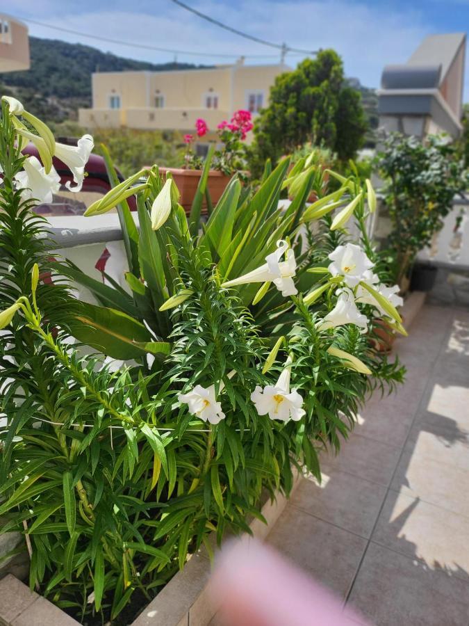 شقة Roumeliotis House كارباثوس المظهر الخارجي الصورة